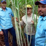 Consultoria-TCH-Agricola-03